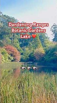 Discover the BEST Plants to See in Dandenong Ranges Botanic Garden