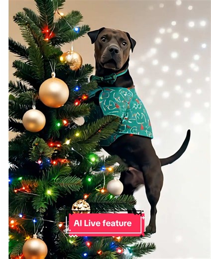 Why did they have Brock climb up the Christmas tree like that!? 🤣 #ailive #Aiphoto #AI #christmas #dogs