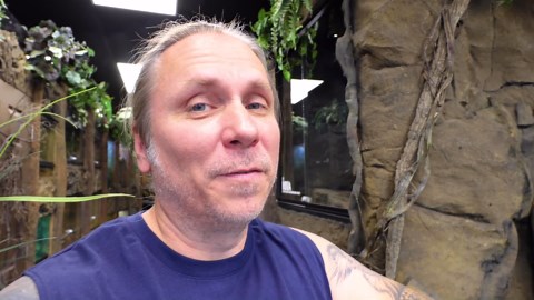 Meet the Rare Blue Vipers at My Zoo