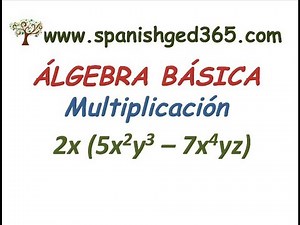 Multiplication of Terms I
