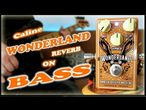 Caline Wonderland Ambient Reverb CP-508 (Bass Demo)