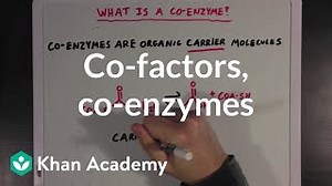 Co-factors, co-enzymes, and vitamins | MCAT | Khan Academy