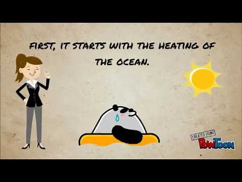 Formation of Typhoon