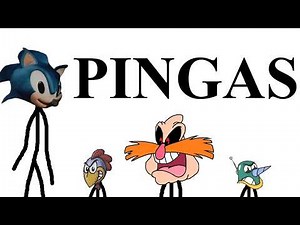 The History of PINGAS