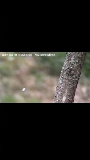 Slingshot Accuracy Test – You Won’t Believe the Precision!