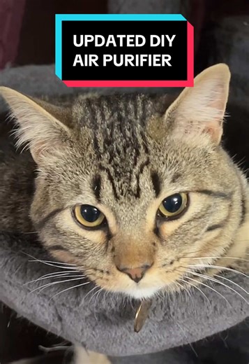 DIY Air Purifier for Cat Owners: Updated