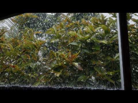 Sleep Fast with Gentle Smooth Rain ASMR