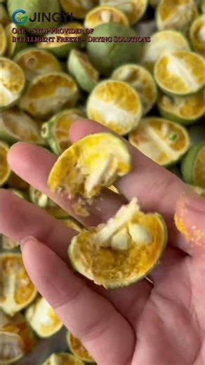 Home Freeze Dryer Lime Freeze Drying Demo How to Make Freeze Dried Lime at Home #machine #fruit