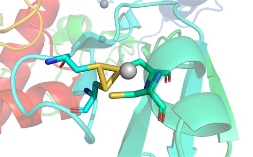 Pymol 删除化学键