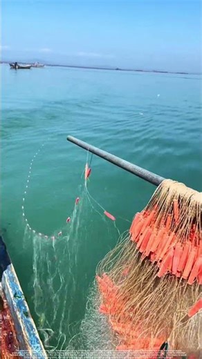 The hidden dangers you didn't know about fishing nets.