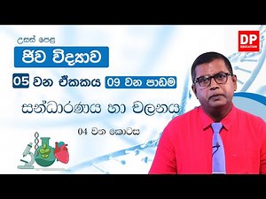 05 වන ඒකකය | 09 වන පාඩම - සන්ධාරණය හා චලනය - 04 වන කොටස | AL Bio Unit 05