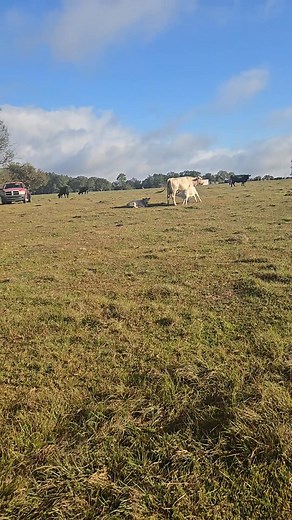 James Phillips on Reels