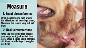 Head Collar for Dogs, No Pull Head Halter Stops Pulling, Durable Dog Walking Training Snout Harness with Strong Rope Dog Leash for Medium Large Extra Large Dogs