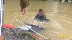 WATCH: Incredible video shows rescuer saving a woman and her dog from flooding just as the car sinks: http://abcn.ws/2b5LtAf | Good Morning America