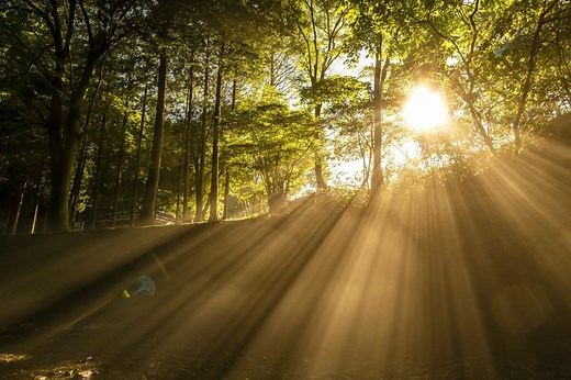 【物理学超入門】「光は波か粒子か」からスタートした量子力学、その歴史を物理学者の野村泰紀が語る 【著者に聞く】ホイヘンスにヤング、マクスウェル、プランク、ボーア、そしてシュレディンガー、続々と登場する物理界のスター | JBpress (ジェイビープレス)