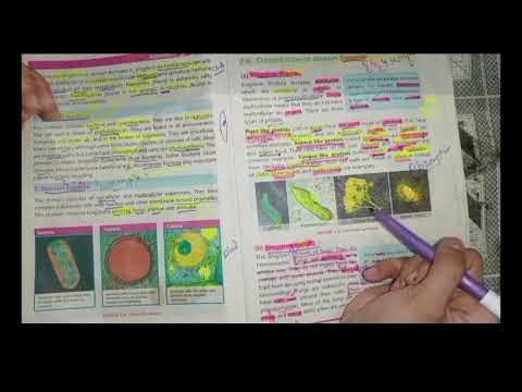 Classification of Domain Eukarya 