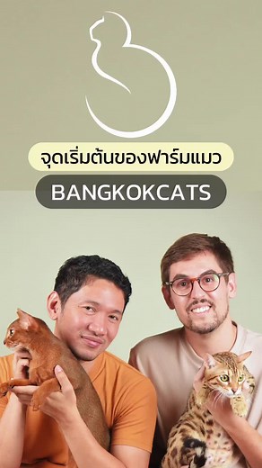 😻 จากคนรักหมา สู่เจ้าของฟาร์มแมว Sun, co-founder of BangkokCats, began his journey into the feline world when he met Pau. Initially a dog lover, Sun was unfamiliar with cats and faced challenges with his first cat's temperament and health issues. This sparked his curiosity and led him to learn more. Many believe Bengal cats are arrogant and unfriendly, but Sun discovered these are misconceptions. With proper selection and understanding of their natural behavior, Bengals can be loving and playfu