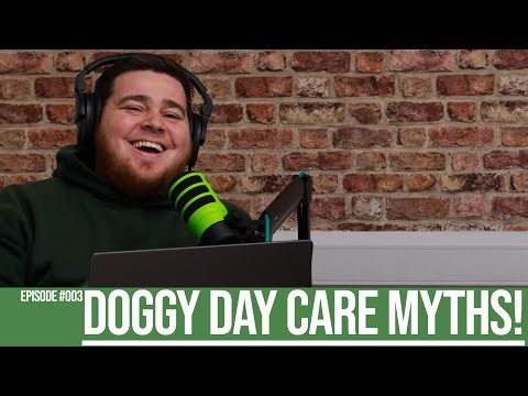 Doggy Day Care Myths - The Truth About Behaviour & Aggression