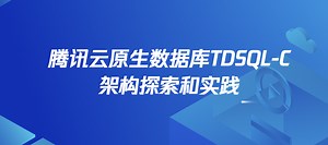 王鲁俊-腾讯云原生数据库TDSQL-C架构探索和实践-DIVE大会