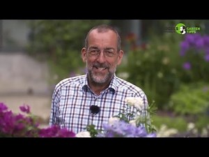 Die schönsten Kübelpflanzen und deren Pflege - Gartentipps von Volker Kugel - www.grünzeug.tv