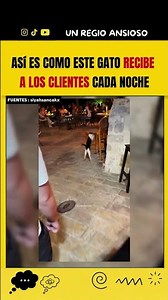 A restaurant with a very peculiar waiter