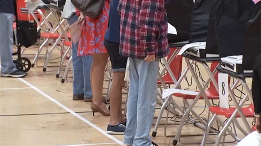 Harris Co. Voter Registrar says the team is working overtime on fixing voter registration backlog