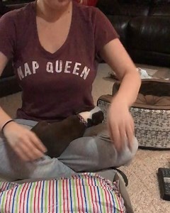 4.7M views · 63K reactions | "Sorry I couldn't wrap your present, my dog was being needy"  | LADbible | Facebook