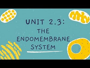 Unit 2.3: Endomembrane System