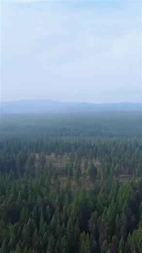 Aaron and Tanner sit down with renowned award-winning journalist, writer, and communicator, Hal Herring. Hal is one of the preeminent authorities on the history of public lands and the outdoors. From the hills of Alabama to the Montana mountains and from conservation to restoration and land management, Hal has thought about it, read about it, written about, and spoken about it. He is an outspoken lover of public lands and wild places and has the literary chops to back it up. Come along on this e