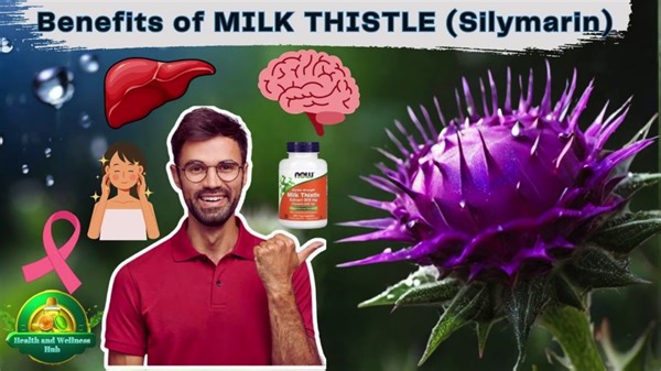Unveiling the Power of Silymarin: Nature's Elixir for Health, Beauty, and Vitality!