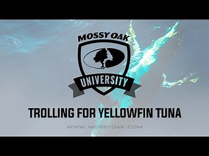 Trolling for Yellowfin Tuna