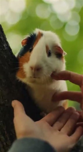 Hero Dog Saves Tiny Guinea Pig from a Tree! 🐶🐹