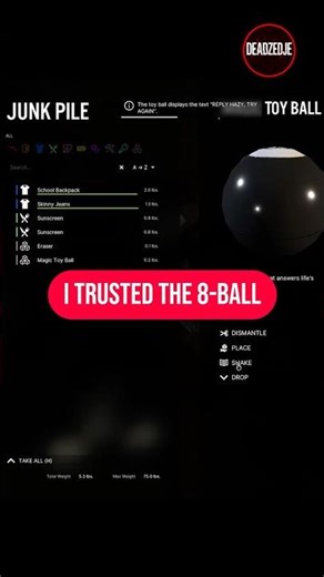 I TRUSTED THE 8 BALL TO MAKE A DECISION - VEIN