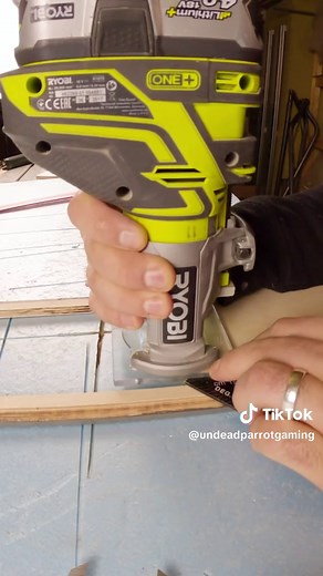 UndeadParrot on TikTok