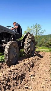 Simple pleasures: sunshine, soil, and spuds in the making 🌞🥔 | Chuckling Goat