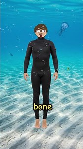 The Deadliest Animals on Earth Are Surprisingly Small