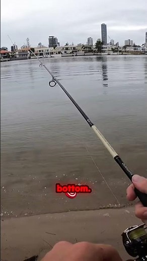 🎣 Mastering Soft Plastic Lure Fishing 🎣 Flathead fishing gold coast