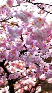  The first day of Spring calls for fresh starts and sunny optimism—time to shake off the cold. #SpringHasSprung #SpringIsHere #Spring | Pump Up The Fun | Facebook