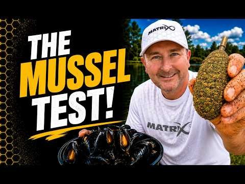 I Tried Fishing With MUSSELS On The Method Feeder!