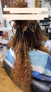 We installed Microlocs twist using Brazilian kinky human hair, today we’re removing the old extensions and add Burmese curl. Locs #hairbyvintage #humanhairextensions #microloc #explorer | Vintage Beauty Care