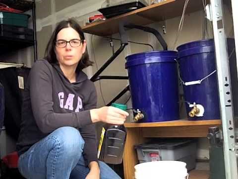 Brewing Worm Tea/Leachate for Plants and Seedlings!