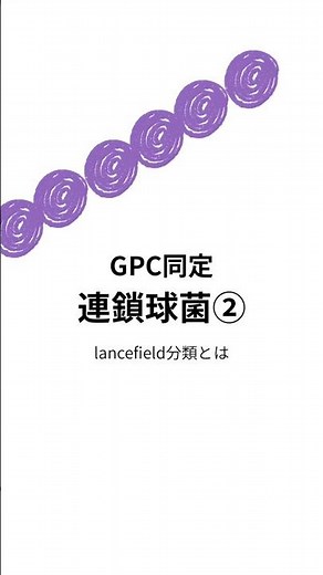 【GPC同定 連鎖球菌②】 #微生物学 #検査技師学生 #臨床検査技師 #国家試験対策