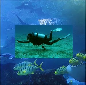 Aluminum Standard Oxygen Tank Sizes for Diving