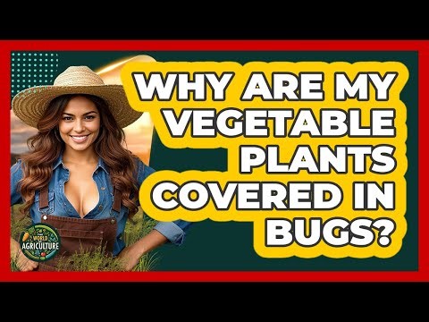 Why Are My Vegetable Plants Covered In Bugs?