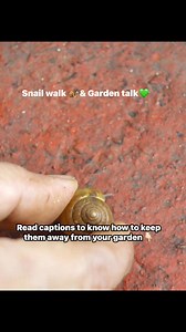 15K views · 54 reactions |  “Maybe this is called the snail walk…”So...