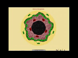 Contact and distance osteogenesis