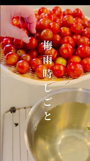 【梅雨時しごと】ドライトマトを作りました。#梅雨時 #ナチュラルライフ #手仕事 #ドライトマト