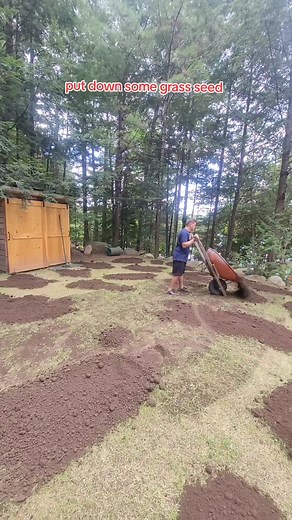 Do you have a bumpy or unlevel yard? These two tools from @land.zie will make your life alot easier. The leveling rake makes spreading soil for topdressing quick / easy while keeping it flat & level. The roller compacts the soil so that it doesn't wash away. I have a discount CODE BEN10 to save 10% #yardworktime #yardtips #lawncare #lawncareservice #lawnmaintenance #diylawncare #diylawn #lawntips #yardworkishardwork #topdressing #grassgrowing #grassseason #lawncaretips #yardtools #yardscape #hom