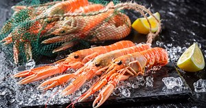 Comment cuire des langoustines à la perfection ?