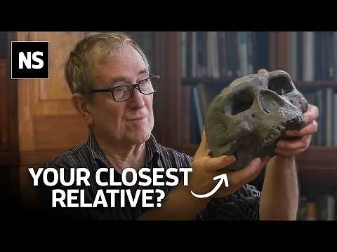 Where Are the Denisovans? The Answer is in our DNA